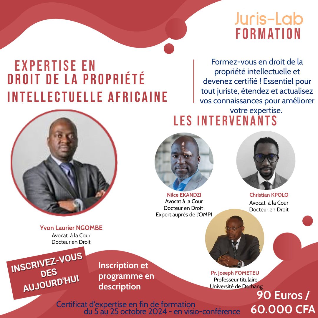 Formation : Droit de la propriété intellectuelle africaine