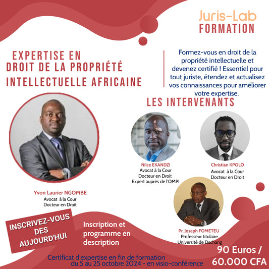 Formation : Droit de la propriété intellectuelle africaine